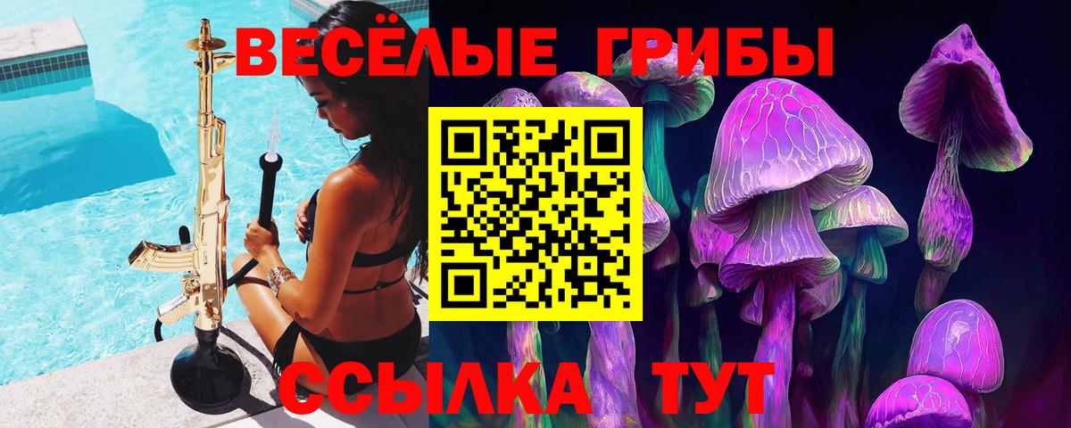 Галлюциногенные грибы Magic Shrooms  Вход с VPN  Майкоп  Псилоцибиновые грибы мухоморы 