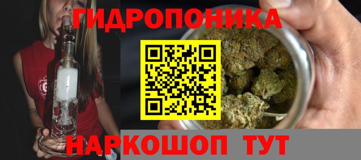 Канабис OG Kush Майкоп